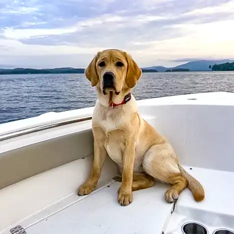 Lucy